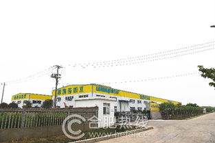 家裝防水貓膩多 合肥論壇實探,為您揭秘防水涂料的制作過程