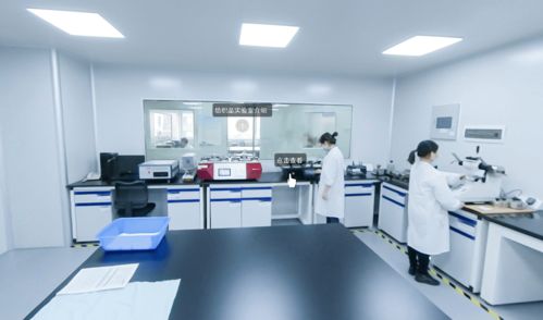 協(xié)會(huì)喜添A股新成員，廣電計(jì)量為建材家居競(jìng)爭(zhēng)力注入科技動(dòng)力